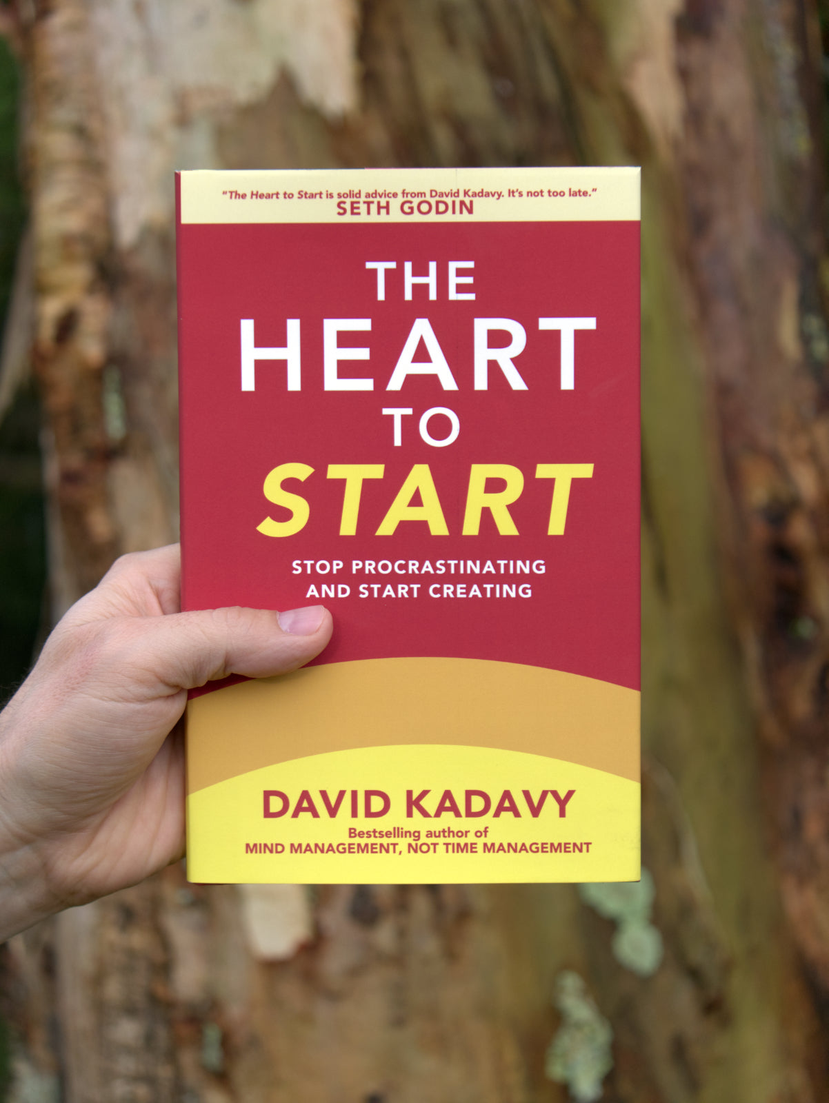 The Heart to Start: Stop Procrastinating & Start Creating